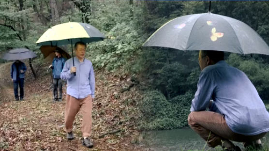 文대통령, 청와대 복귀…우산들고 산책하는 모습 공개