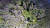 녹색연합이 지난달 16일 공개한 지리산 반야봉 정상의 구상나무와 가문비나무의 떼죽음 모습. [녹색연합 제공]