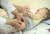 지난달 11일 오후 부산 서구의 한 소아 병원에서 어린이가 독감 예방 접종을 하고 있다. [연합뉴스]