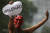 29일(현지시간) 브라질 리우데자네이루에서 보우소나루 지지 반대 시위자가 붉은 악마 가면을 쓰고 시위를 하고 있다. [AFP=연합뉴스] 