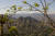 2016년 5월 촬영된 과테말라 동부의 밀림지대. 라이더는 다량의 레이저 펄스를 분사해, 밀림 속에 숨어있는 마야문명 유적을 탐지해냈다. [AP=연합뉴스]