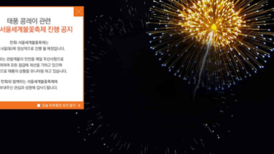 ‘서울세계불꽃축제 태풍에도 개최 결정’…부산·전남 등 지역축제 연기 속출