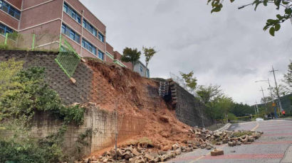 [서소문사진관]제주 하루 310mm 퍼부은 태풍 콩레이가 남긴 피해 