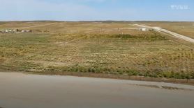 몽골 땅 78%가 사막화…“풀이 없어 가축 키우기 힘들다”