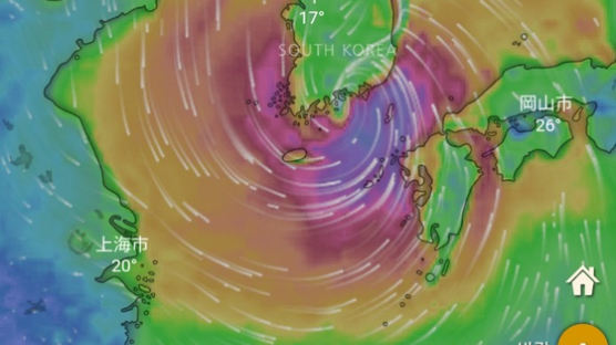 [3분 과학] 태풍은 왜 태어났고, 어디서 와서, 어디로 가나 