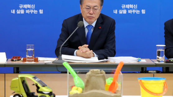 '규제혁신 5법' 중 3개 공포안 의결…한국형 규제샌드박스 도입