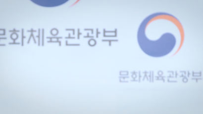 “문체부 유관기관장 33명 중 7명 文캠프·민주당 출신”
