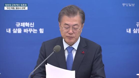 '규제혁신 5법' 중 3개 공포안 의결…한국형 규제샌드박스 도입