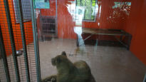[권혁주 논설위원이 간다]아기 원숭이에게 '천적' 뱀 들이대는 대한민국 동물원