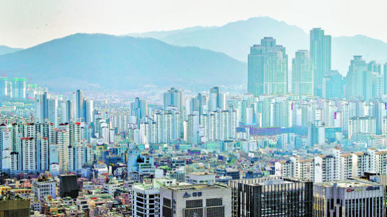 “갭투자용 서울 주택 구입 비중 1년 새 2배로”