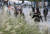 절기상 이슬이 찬 공기를 만나 서리로 변하기 직전의 시기를 뜻하는 한로인 8일 오전 두툼한 복장을 한 시민들이 서울 청계광장을 지나고 있다. [연합뉴스]