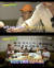 [사진 tvN &#39;짠내투어&#39;]