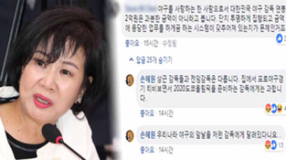 “TV보면서 준비하는데 연봉 과해” 손혜원, 선동열 관련 SNS글로 ‘시끌’