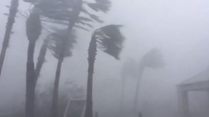 시속 250km 강풍, 30cm 폭우에 플로리다 해변 초토화