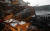허리케인 마이클이 휩쓸고 지나간 뒤 초토화된 플로리다주 파나마시티 거리. [AP=연합뉴스]