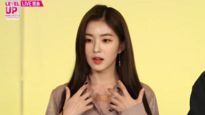 RED VELVET's IRENE Got Slightly Wounded by the Attack of an Unleashed Dog