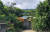기카이 섬 남부 아덴 마을의 한 가옥. 여러 아열대 식물이 어우러져 자라는 마당의 모습이 이국적이다. 사진=김상진 기자