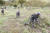 지난 11일 강원도 인제군 KCTC 훈련장에서 실전같은 모의 전투가 벌어졌다. 자세를 낮추고 앞으로 진격하고 있다. [사진 육군 제공]
