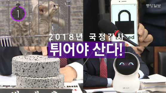 [11초뉴스] ‘튀어야 산다’ 2018 국정감사 이색 소품들