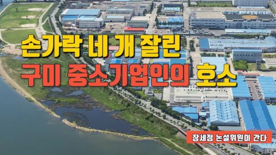 [장세정 논설위원이 간다] 박정희가 키운 구미의 비명…내륙 최강 산업도시의 비극