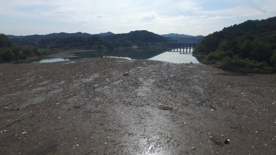 태풍만 오면 쓰레기장 진주 남강댐...전국 31개 댐도 비슷