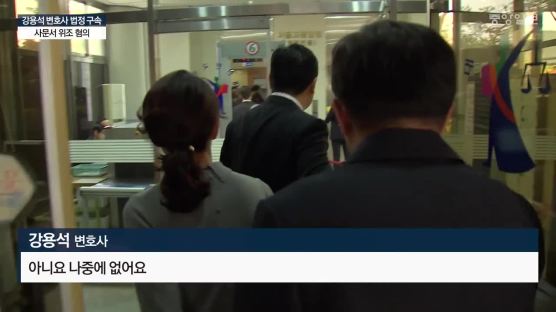  김부선 변호 강용석 법정구속…사문서 위조 징역 1년