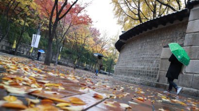 [서소문사진관]가을빛 완연한 지구촌 날씨