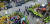 보수단체와 이재명 경기지사 지지자들로 양분된 분당경찰서 앞[사진 경기남부지방경찰청]