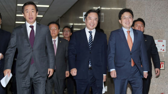 한국당,“평양선언 ‘셀프비준’은 반의회 폭거”…헌재에 효력정지 가처분