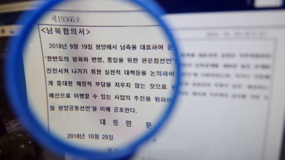 '9월 평양공동선언' 29일 관보 게재…효력 발생