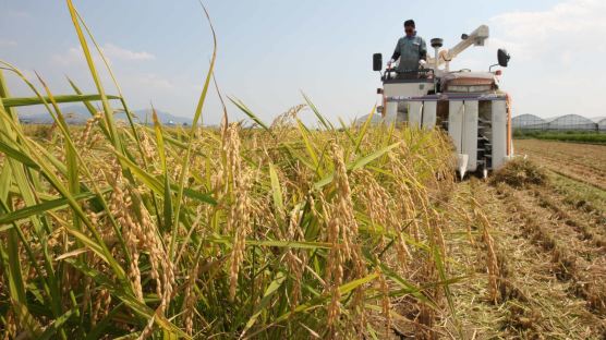 쌀 목표가 정부안 18만8192원…농부들은 19만4000원