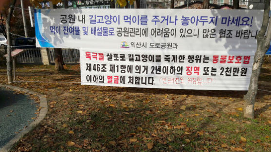 ‘독극물 살포’ 의혹…익산 한 공원서 길고양이 집단 폐사