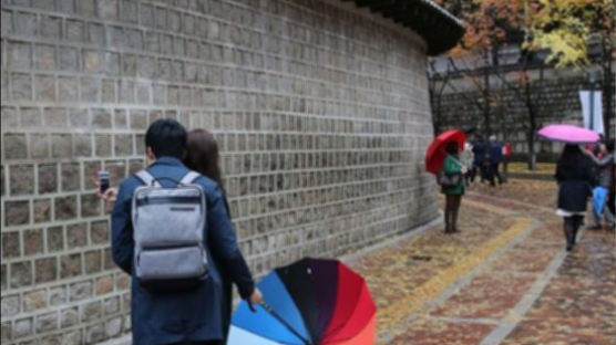 서울서 김장하기 가장 좋은 날은 11월29일, 왜?