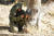 미츠페넷 헬멧 위장포를 쓴 이스라엘군이 소총으로 조준을 하고 있다. [사진 이스라엘 국방부]