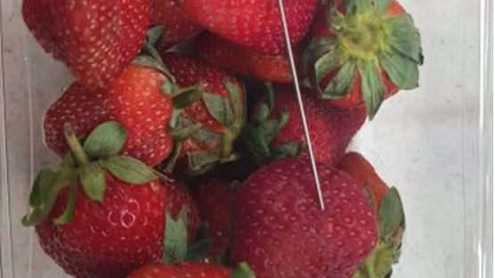 공포의 호주 ‘딸기 바늘테러’ …용의자로 50대 여성 체포