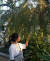 화목원 내 생태관찰원 반비식물원에 들른 차연재 학생모델이 여러 식물을 관찰했다.