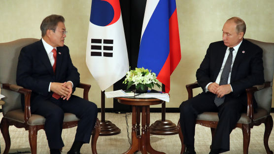 문 대통령, 푸틴과 58분간 대화 "북한 비핵화 위해 적극적인 역할 해달라"