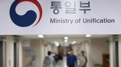 해외동포 기업인 등 97명 내일 평양 방문…정부 방북 승인