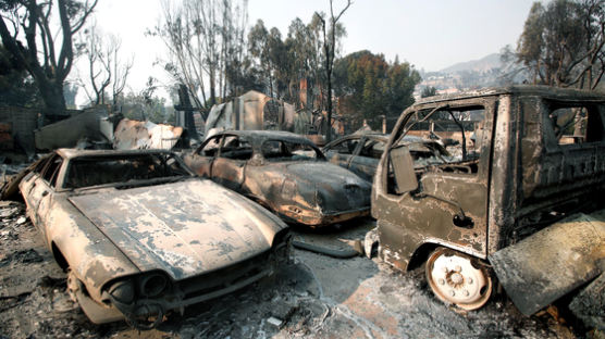 ‘서울시 면적만큼 불에 탄’ 북캘리포니아 산불, 사망자 48명으로 늘어