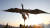 1일 경북 포항시 호미곶 광장에서 열린 한민족축전에 참가한 한 시민이 일출시간에 맞춰 가로 20m, 세로 50m 크기의 초대형 삼족오 연을 날리고 있다. [중앙포토]