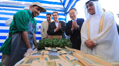 중동 공주의 요청에 사막위에 꽃핀 KT의 채소 농장