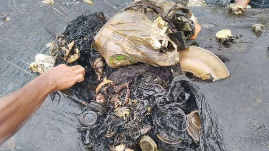 [서소문사진관]죽은 고래 배 가르니…1000여개 플라스틱 쓰레기 나와