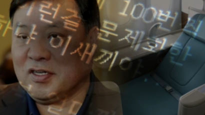 "젊고 예쁜 애도 없고···" 셀트리온 회장 기내 갑질 의혹 