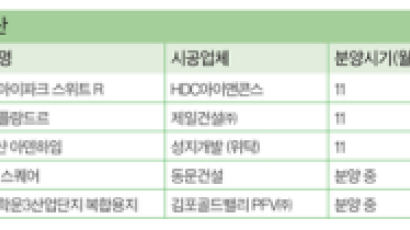 [분양 포커스] 임대수익 짭짤, 주택시장 규제 반사이익 기대