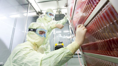 수두 바이러스 키워 만든 대상포진 백신…세계 2번째 성공