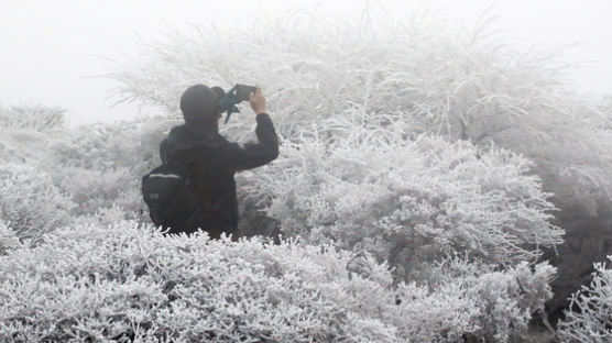[서소문사진관]눈꽃이 활짝~ 한라산은 지금 설국(雪國)
