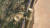 지난 10월 15일 울산 태화강 십리대숲에 있는 대나무 울타리 디자인이 특허청에 등록됐다. 울산시는 이를 공무원 직무 발명으로 채택했다. 사진은 십리대숲에 설치된 대나무 울타리 모습. <저작권자(c) 연합뉴스, 무단 전재-재배포 금지>