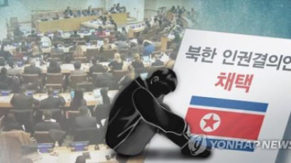 북한 방송 "남한의 북한인권결의안 채택 가담은 배신행위"