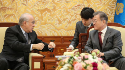 문재인 대통령 "비핵화 이뤄지면 OECD 협력 약속…북한에 전달하겠다"