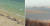 뉴질랜드 해변에서 발견된 때죽음 당한 고래들(왼쪽). 강화도 제적봉 평화전망대 왼쪽 거대 모래톱(오른쪽) [뉴질랜드 환경보호부=연합뉴스], 변선구 기자